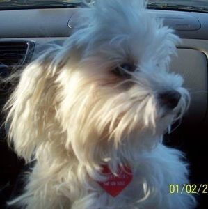 Meet your Posher, Lynn